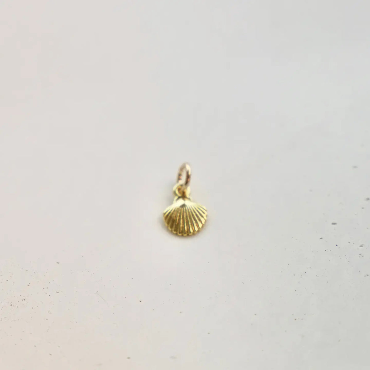 Shell Charm
