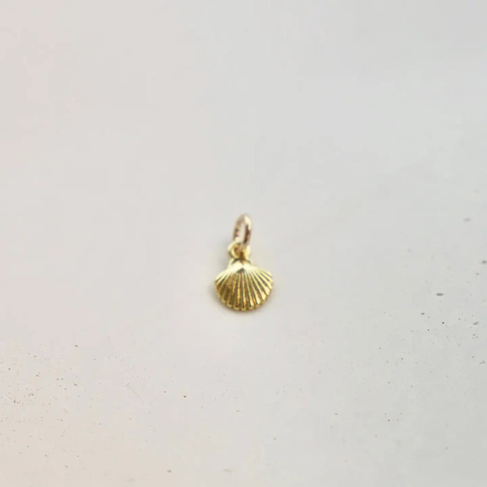 Shell Charm