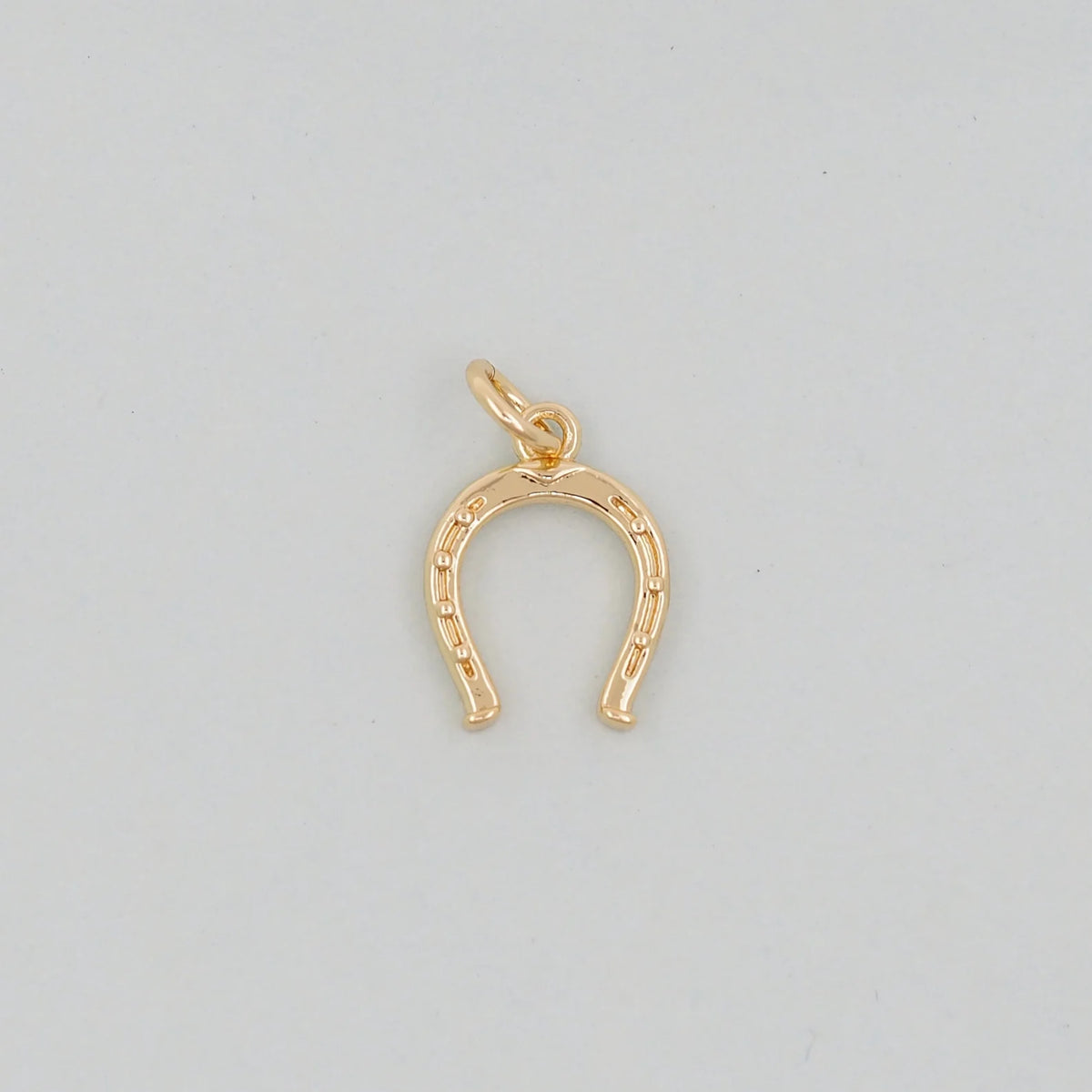 Horseshoe Charm