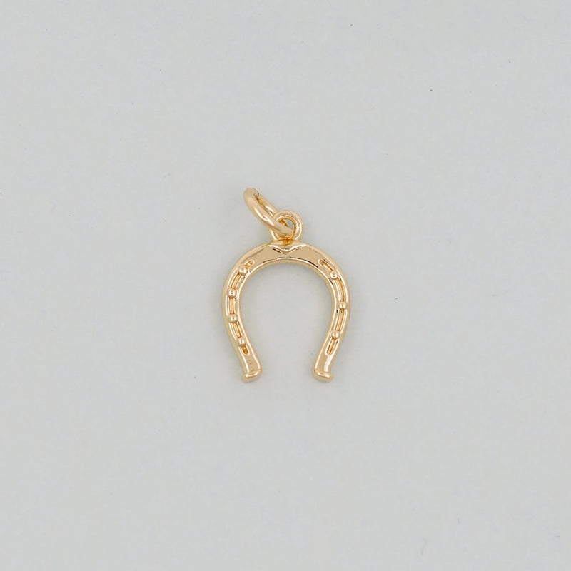 Horseshoe Charm